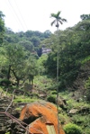 Img_0905 Img_0905
