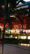 20081107084409