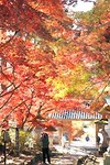 08111402