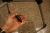 Img_4577 Img_4577